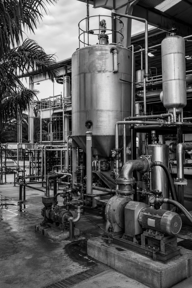 Instalación industrial de palma y agroindustria